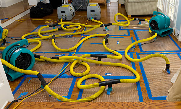 Professional Flood Damage Restoration technician working in Grandville, MI